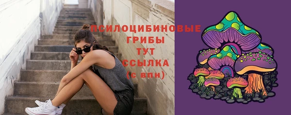 ПСИЛОЦИБИНОВЫЕ ГРИБЫ Белокуриха