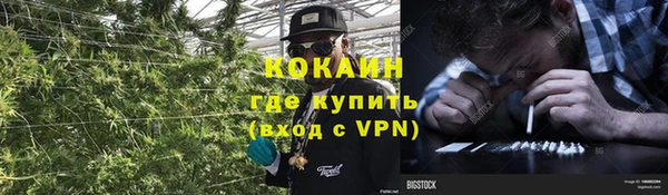 ПСИЛОЦИБИНОВЫЕ ГРИБЫ Белокуриха